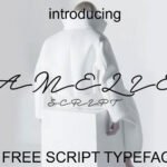Amelie Script Font