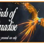 Birds of Paradise Font