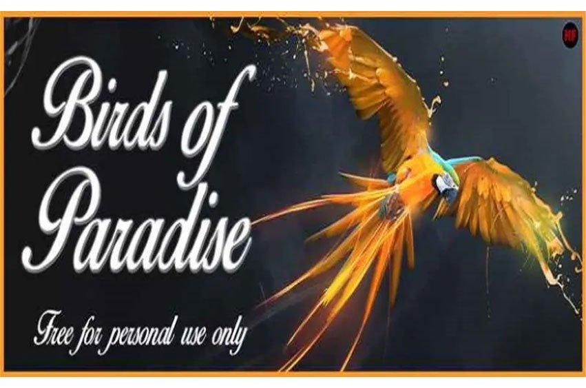 Birds of Paradise Font