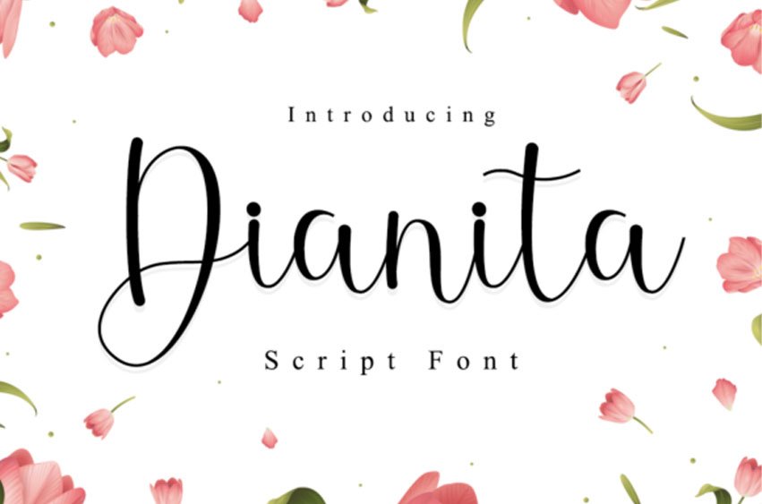 Dianita Font