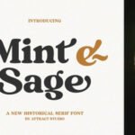 Mint and Sage Font