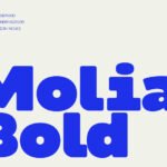 Molia Bold Font