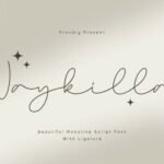 Naykilla Font