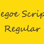 Segoe Script Font