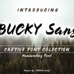 Bucky Font