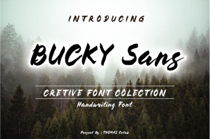 Bucky Font