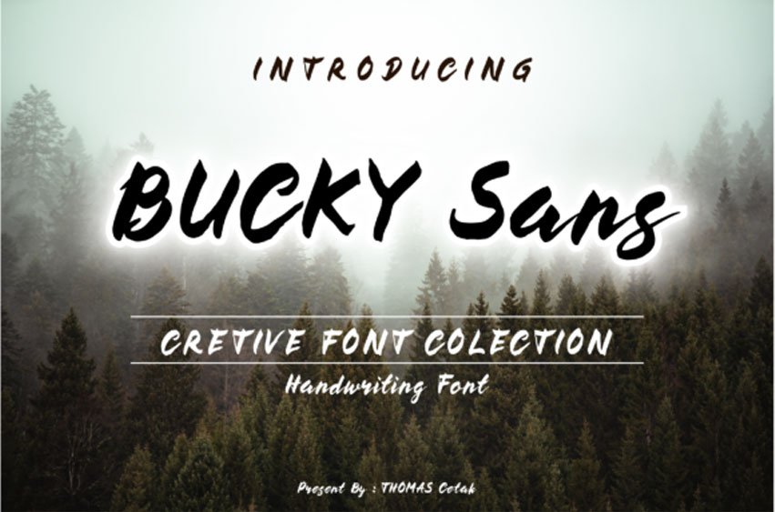 Bucky Font