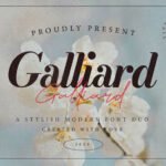 Galliard Font