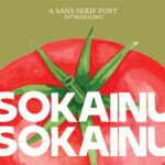 Sokainu Font