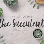 The Succulent Font