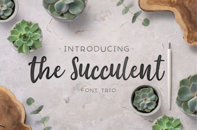 The Succulent Font