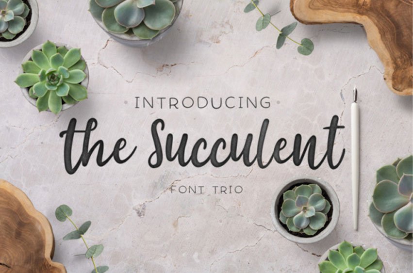 The Succulent Font