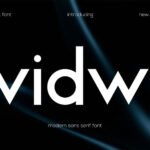 Vidwi Font