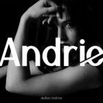 Andrie Font