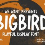 Bigbird Font