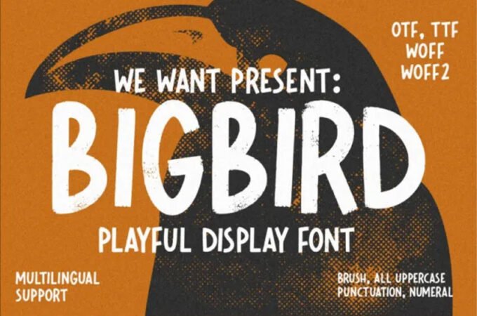 Bigbird Font