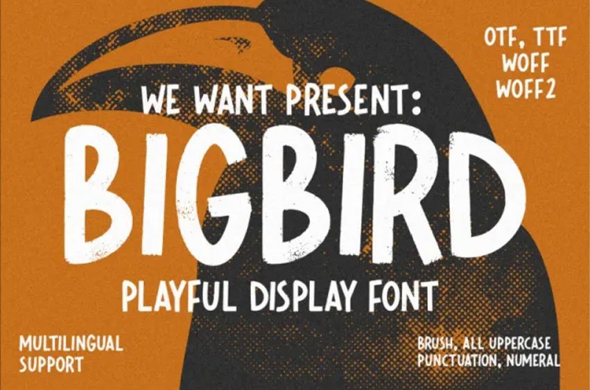 Bigbird Font