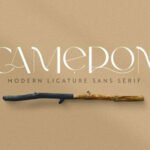 Cameron Font