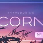 Corn Font