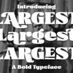 Largest Font