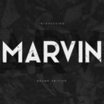 Marvin Rough Font
