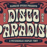Disco Paradise Font