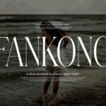 Fankong Font