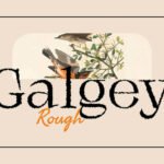 Galgey Rough Font