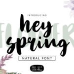 Hey Spring Font