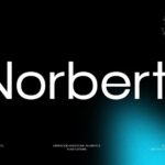 Norbert Font