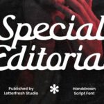 Special Editorial Font