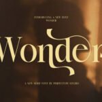 Wonder Serif Font