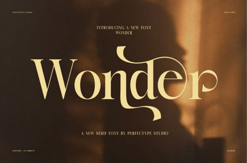 Wonder Serif Font